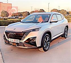 دونج فينج ماج